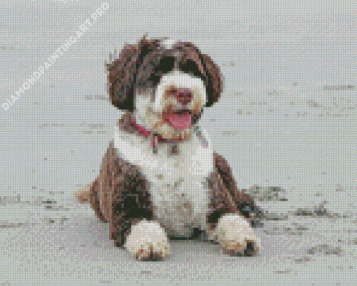 Brown And White Portuguese Water Dog At The Beach Diamond Painting