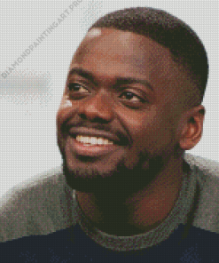 Daniel Kaluuya Smiling Diamond Painting