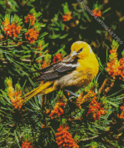 Female Baltimore Oriole Bird Diamond Painting