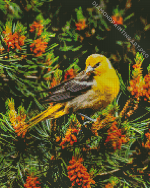 Female Baltimore Oriole Bird Diamond Painting