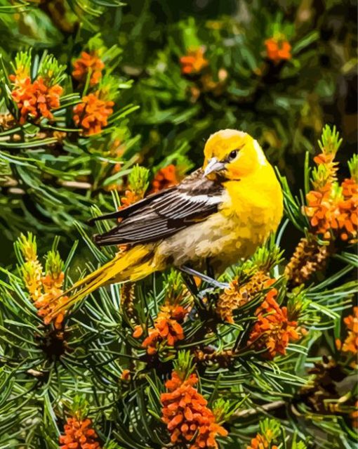 Female Baltimore Oriole Bird Diamond Painting