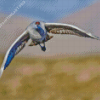 Flying Sandhill Crane Bird Diamond Painting