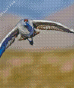 Flying Sandhill Crane Bird Diamond Painting