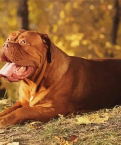 French Mastiff With Autumn Leaves Diamond Painting