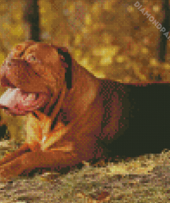 French Mastiff With Autumn Leaves Diamond Painting