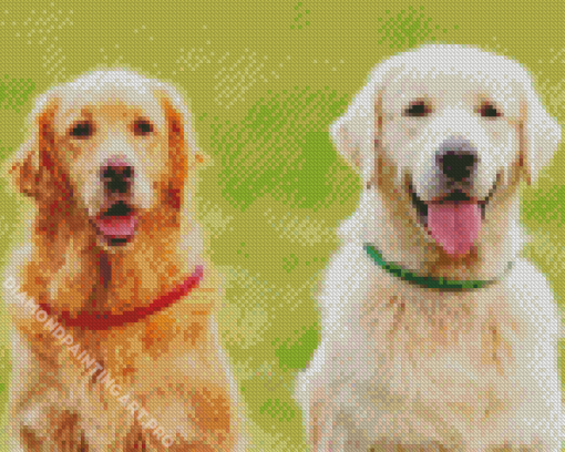 Golden And Cream Retriever Diamond Painting