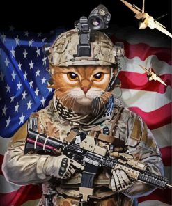 Military Cat Warrior Diamond Painting