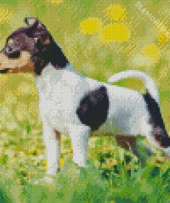 Miniature Fox Terrier Puppy Diamond Painting