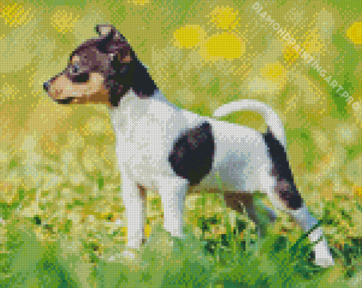 Miniature Fox Terrier Puppy Diamond Painting