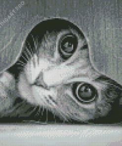 Monochrome Cat Diamond Painting