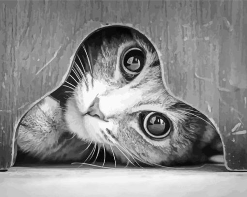 Monochrome Cat Diamond Painting