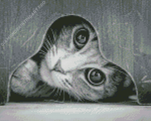 Monochrome Cat Diamond Painting