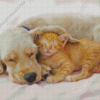 Puppy And Orange Kitten Diamond Painting
