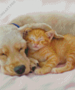 Puppy And Orange Kitten Diamond Painting