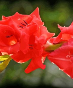 Red Pink Gladiolus Flowers Diamond Painting