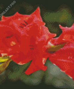 Red Pink Gladiolus Flowers Diamond Painting