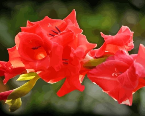 Red Pink Gladiolus Flowers Diamond Painting