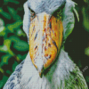 Shoebill Stork Diamond Painting