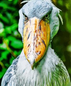 Shoebill Stork Diamond Painting