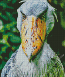 Shoebill Stork Diamond Painting