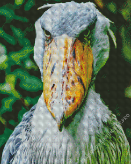 Shoebill Stork Diamond Painting