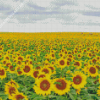 Small Sunflower Field Diamond Painting