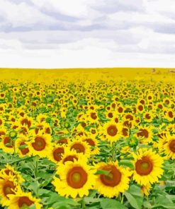 Small Sunflower Field Diamond Painting