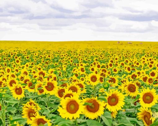 Small Sunflower Field Diamond Painting