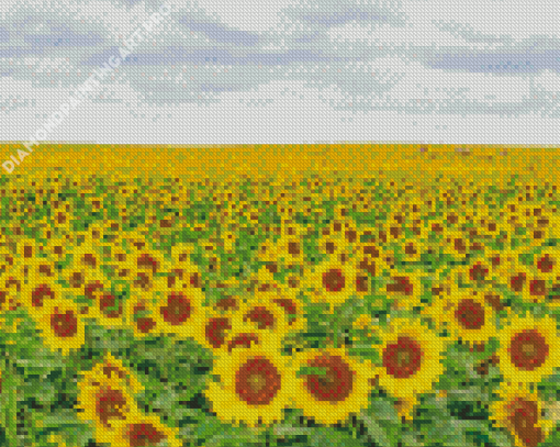 Small Sunflower Field Diamond Painting