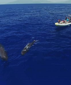 Sperm Whales With Boat Diamond Painting