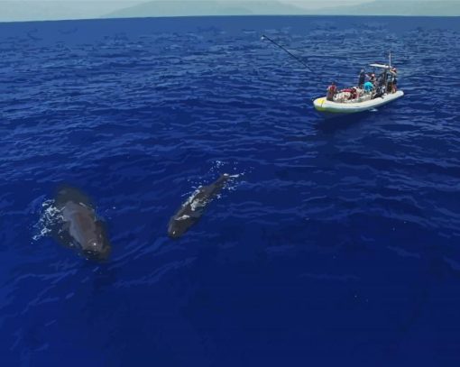 Sperm Whales With Boat Diamond Painting