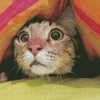 Frightened Cat Under Blanket Diamond Painting