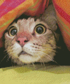 Frightened Cat Under Blanket Diamond Painting