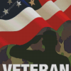 Veteran Military Diamond Painting