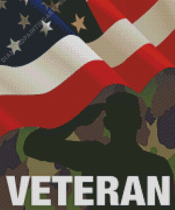 Veteran Military Diamond Painting