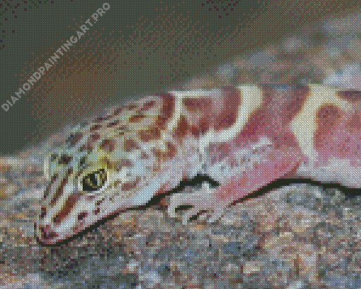 Western Desert Gecko Animal Diamond Painting