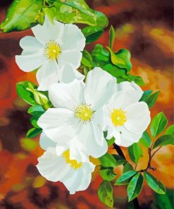 White Cherokee Roses Diamond Painting