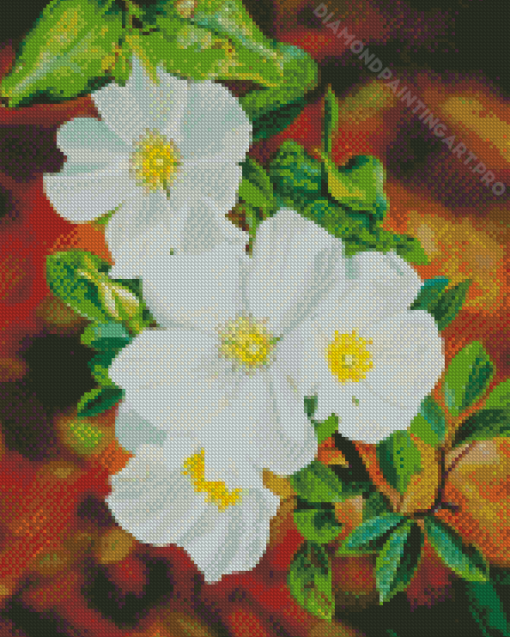 White Cherokee Roses Diamond Painting