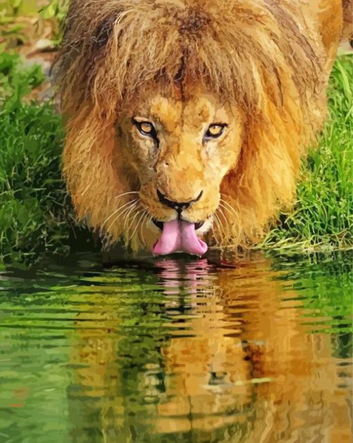 Wild Lion Drinking Diamond Painting