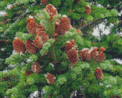 Balsam Fir Tree Diamond Painting