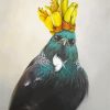 Bird With Kowhai Diamond Painting