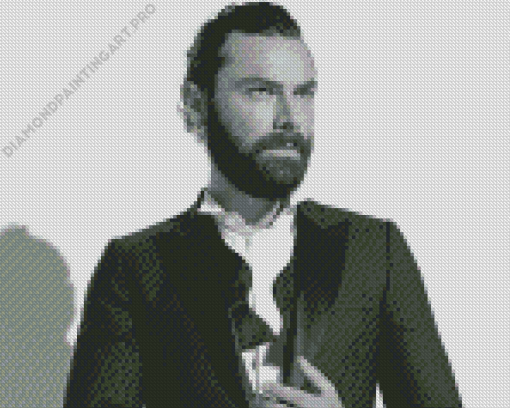 Black And White Aidan Turner Diamond Painting