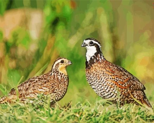 Bobwhite Quail Birds Diamond Painting