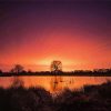 Bushy Park At Sunset Diamond Painting