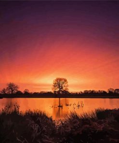 Bushy Park At Sunset Diamond Painting