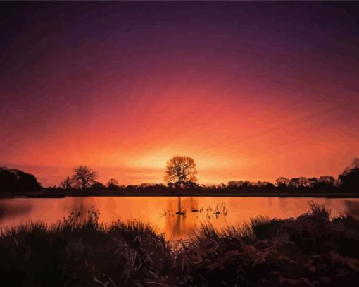 Bushy Park At Sunset Diamond Painting