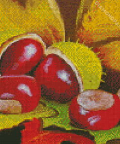 Chestnuts Art Diamond Painting