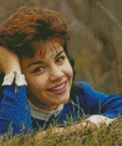 Annette Funicello Diamond Painting