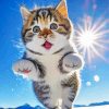 Cat With Enjoyment Smirk Face Jumping On Snow Diamond Painting