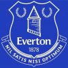 Logo Of Everton Crest Diamond Painting